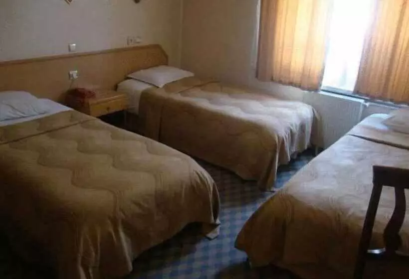 Fotos del hotel Grand  Duman:  9