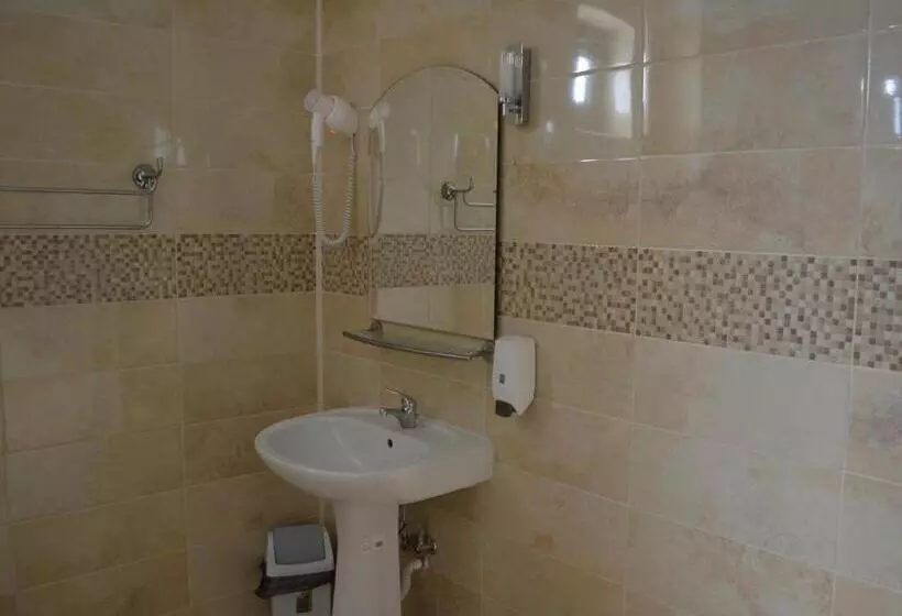 Fotos del hotel Pensiunea Andy:  11