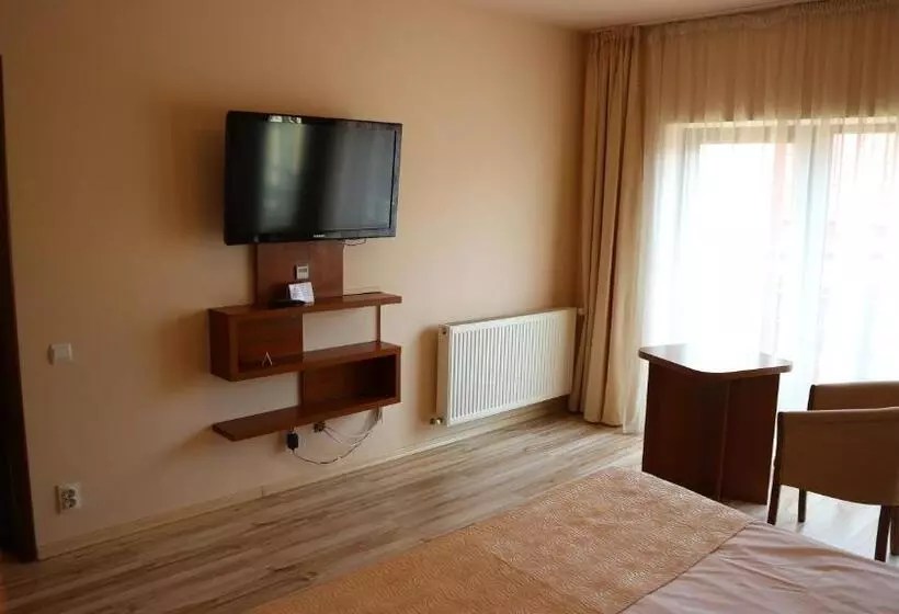 Fotos del hotel Pensiunea Andy:  12