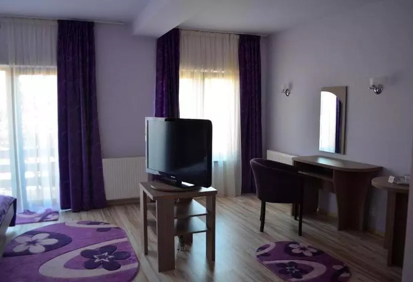 Fotos del hotel Pensiunea Andy:  19