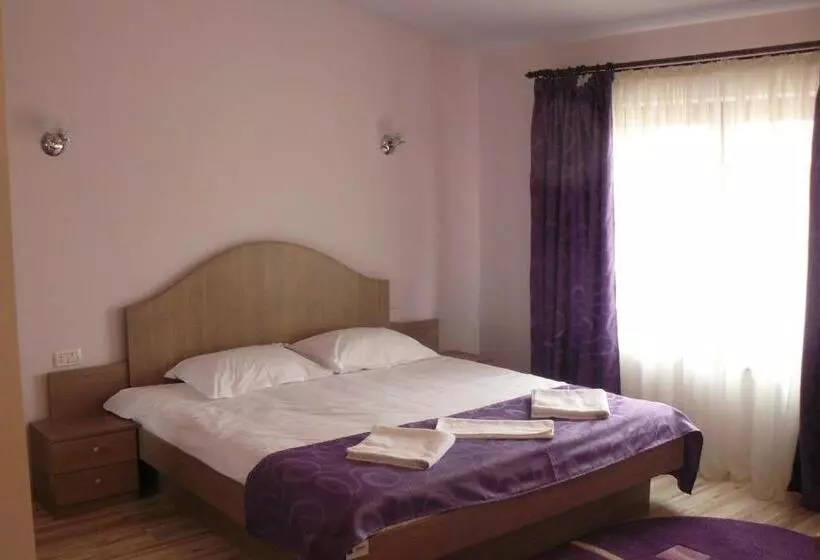 Fotos del hotel Pensiunea Andy:  24