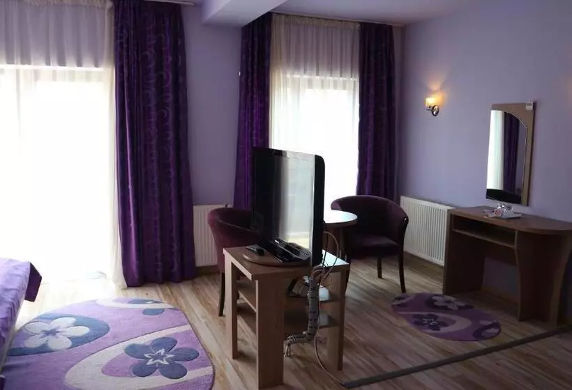 Fotos del hotel Pensiunea Andy:  17