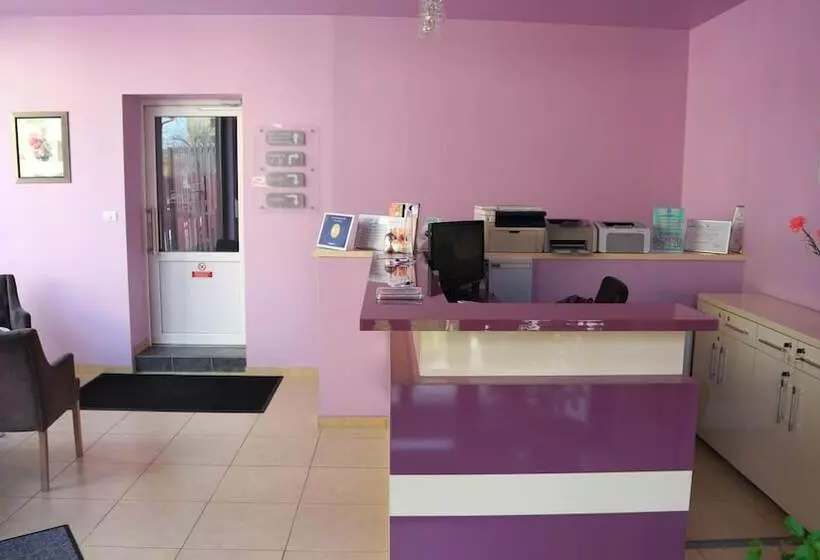 Fotos del hotel Pensiunea Andy:  8