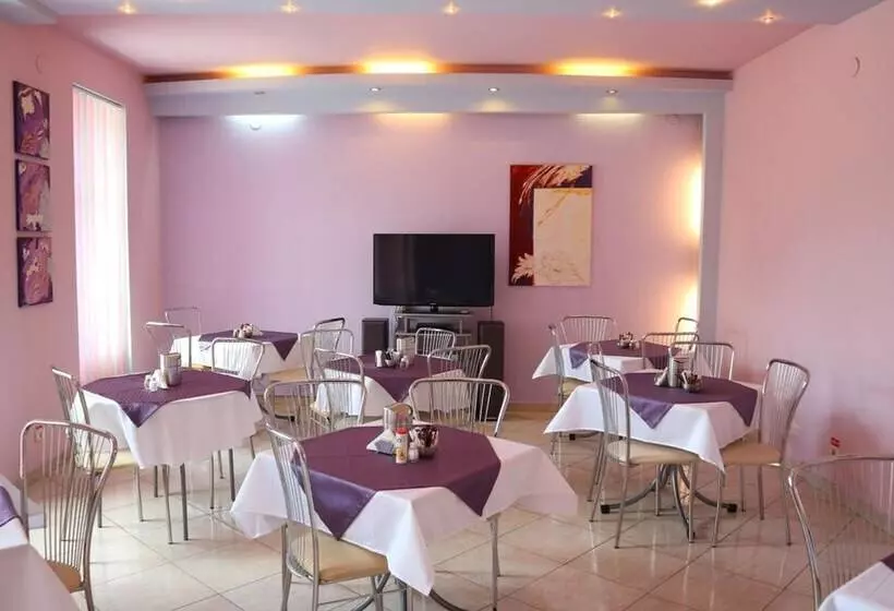 Fotos del hotel Pensiunea Andy:  15