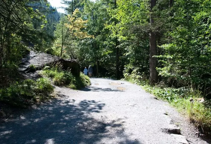 Fotos del hotel Pensjonat Telimena:  8