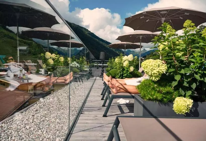 Fotos del hotel Hasenauer:  8