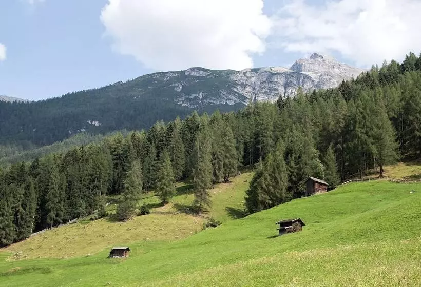 Fotos del hotel Kratzerwirt Apartments:  13