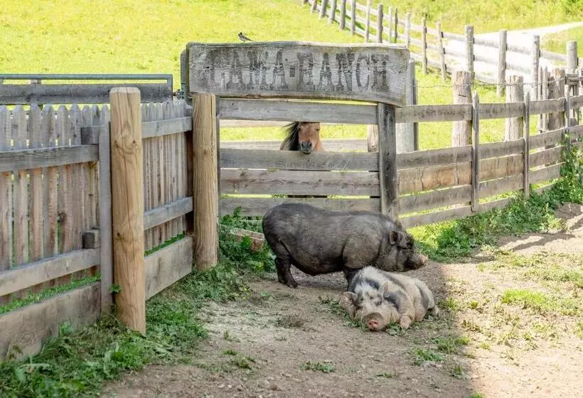Fotos del hotel Sonnschupfer:  13