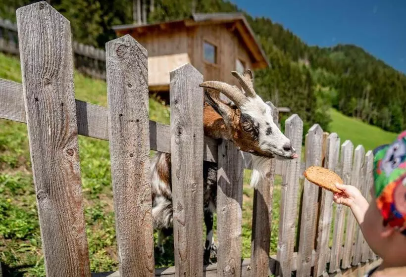 Fotos del hotel Sonnschupfer:  22