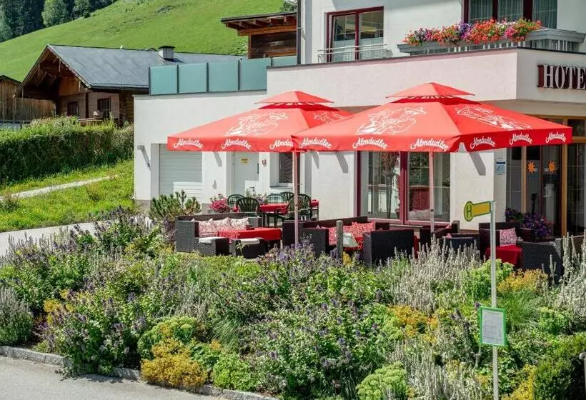 Fotos del hotel Sonnschupfer:  7