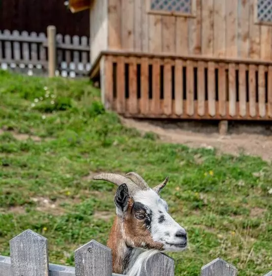 Fotos del hotel Sonnschupfer:  19