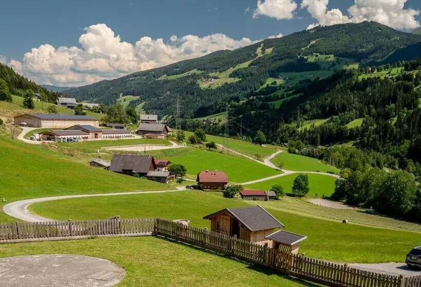 Fotos del hotel Sonnschupfer:  9