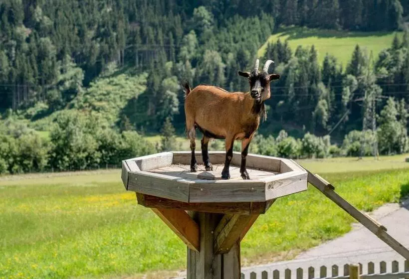 Fotos del hotel Sonnschupfer:  17