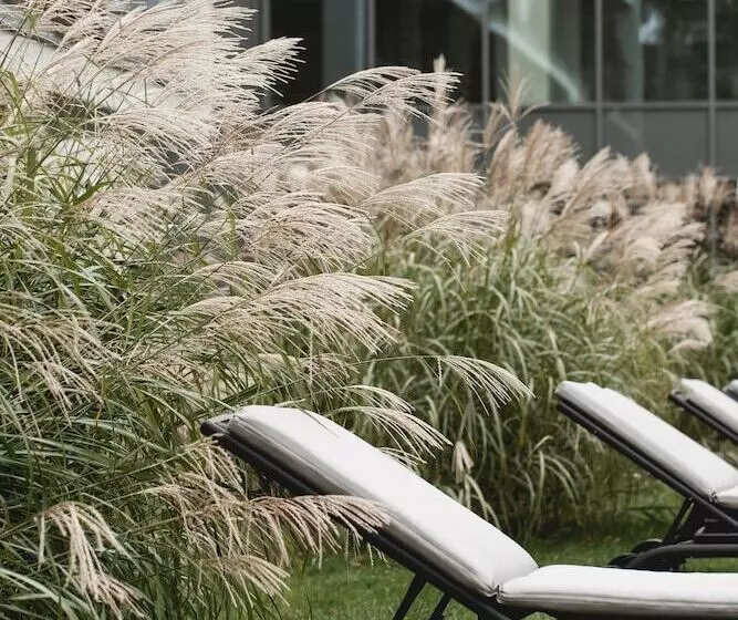 Fotos del hotel Shuum Boutique Wellness:  15