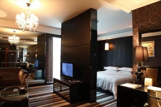 Fotos del hotel Hopesky Luxury:  2