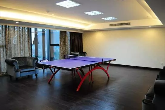 Fotos del hotel Hopesky Luxury:  3