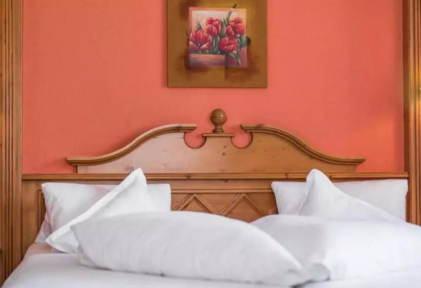 Fotos del hotel Antonius:  5