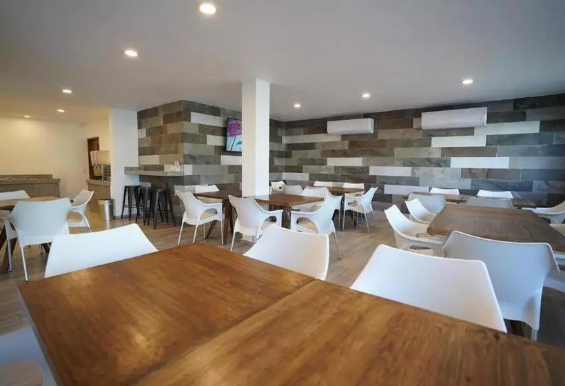 Fotos del hotel Star:  24