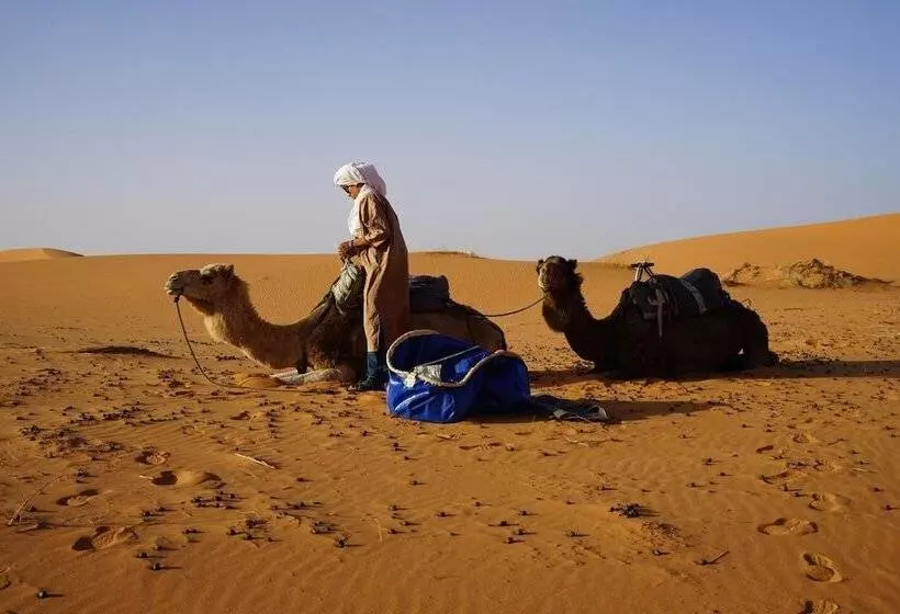 Fotos del hotel Chez Youssef:  18