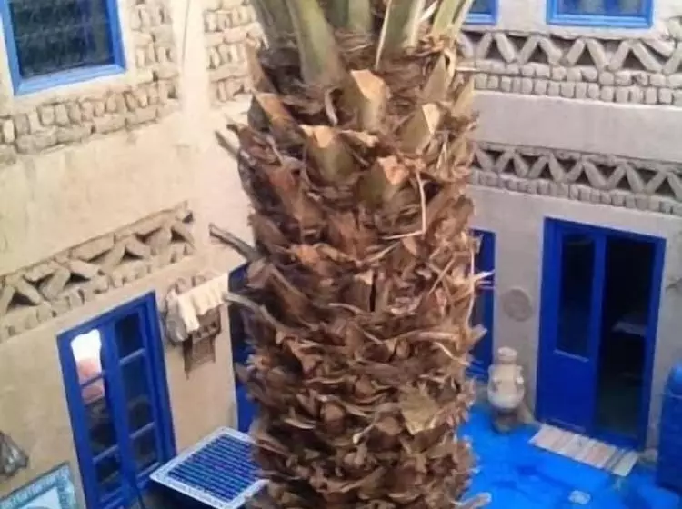 Fotos del hotel Chez Youssef:  24