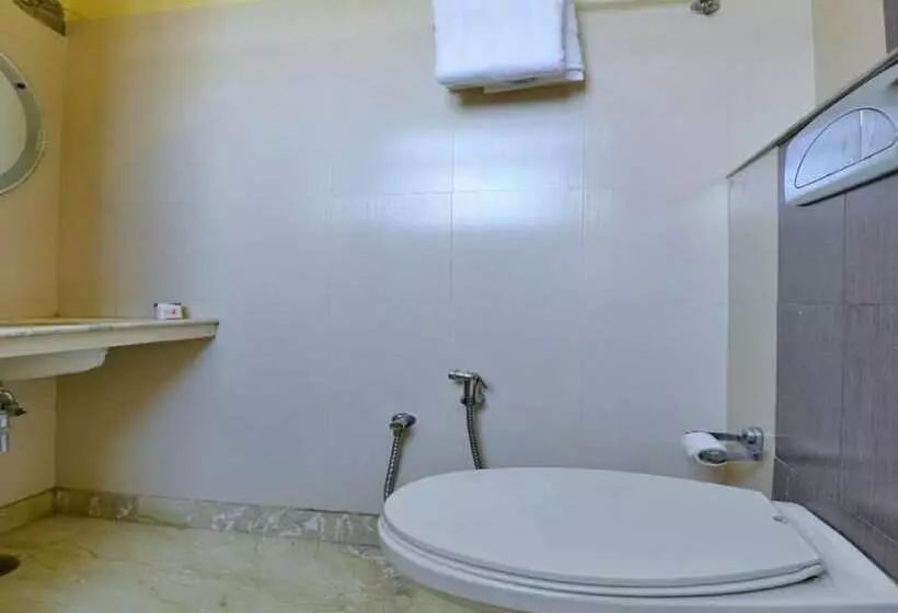 Fotos del hotel Silver Plaza:  4