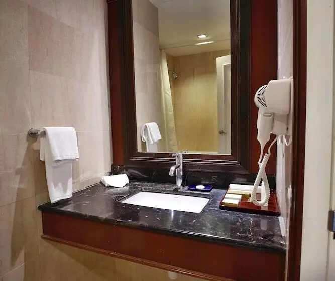 Fotos del hotel The Regency Kuala Lumpur:  7