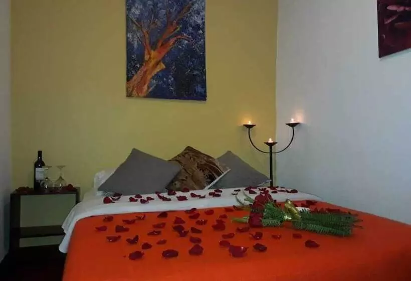 Fotos del hotel Casa Mosaico Hotel Boutique:  6