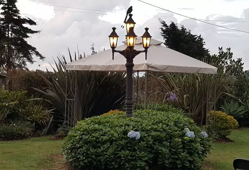 Fotos del hotel Casa Mosaico Hotel Boutique:  13