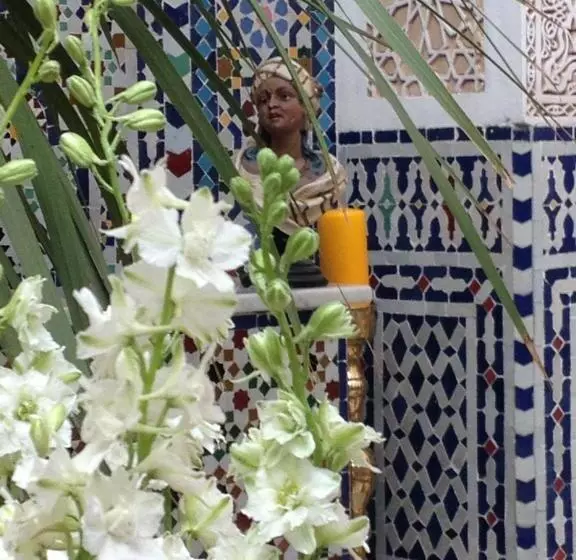 Fotos del hotel Dar Dalila:  18