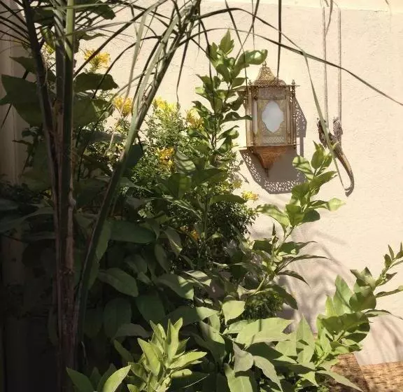 Fotos del hotel Dar Dalila:  15