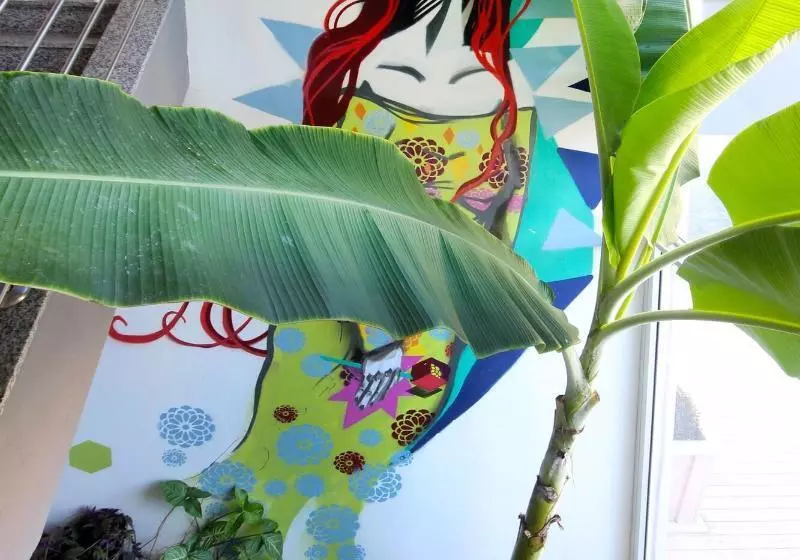 Fotos del hotel Cris:  10