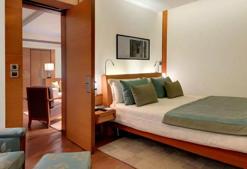 Fotos del hotel Hyatt Pune:  18