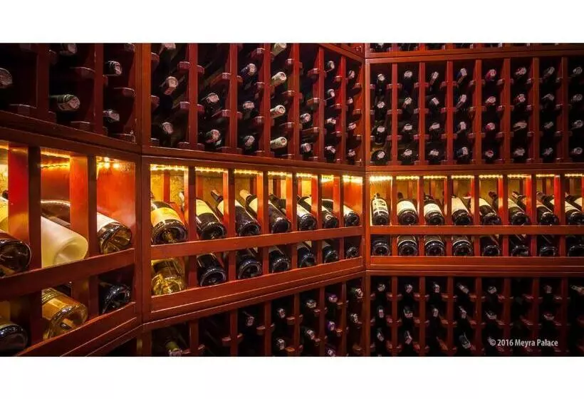 Fotos del hotel Meyra Palace:  10