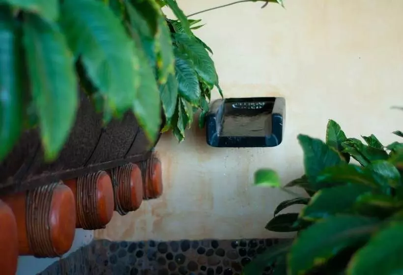 Fotos del hotel Tentaciones Hotel & Lounge Pool:  25