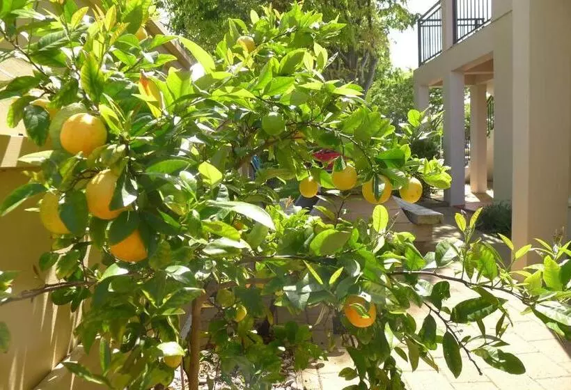 Fotos del hotel Lugano Motor Lodge:  5