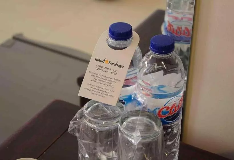 Fotos del hotel Garden Surabaya:  6