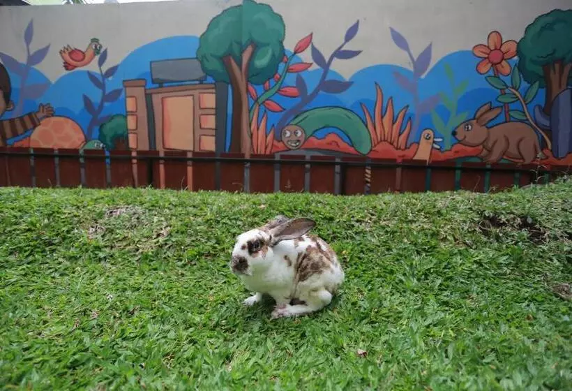 Fotos del hotel Horison Ultima Riss Malioboro Yogyakarta:  23