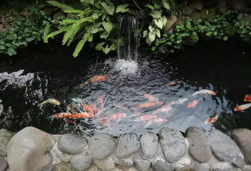 Fotos del hotel Horison Ultima Riss Malioboro Yogyakarta:  12