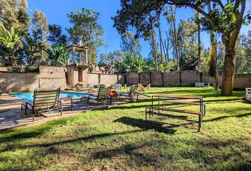 Fotos del hotel Mvuli Hotels Arusha:  20