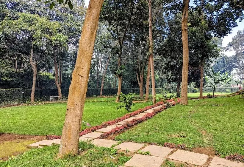 Fotos del hotel Mvuli Hotels Arusha:  12