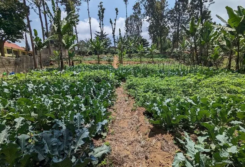 Fotos del hotel Mvuli Hotels Arusha:  23