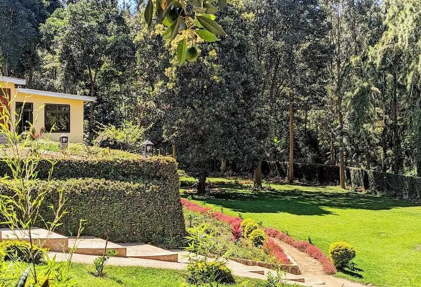 Fotos del hotel Mvuli Hotels Arusha:  16