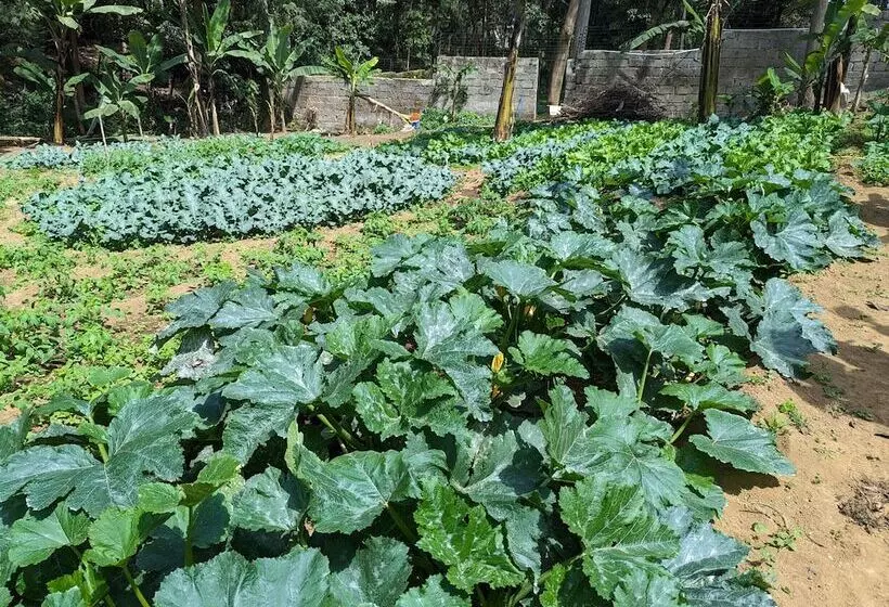 Fotos del hotel Mvuli Hotels Arusha:  8