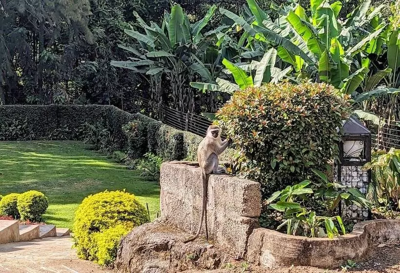 Fotos del hotel Mvuli Hotels Arusha:  11