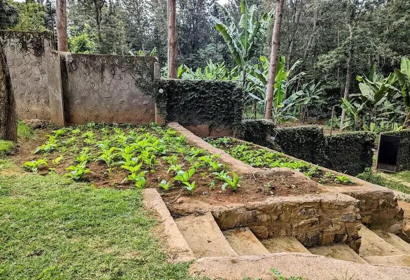 Fotos del hotel Mvuli Hotels Arusha:  13