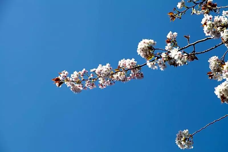 Fotos del hotel The Devereux Boutique:  17