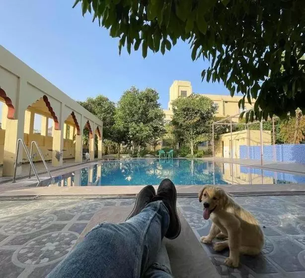 Fotos del hotel Pushkar Heritage:  8