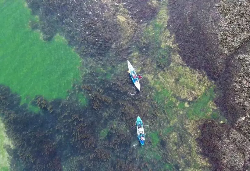 Fotos del hotel Abingdon House:  5