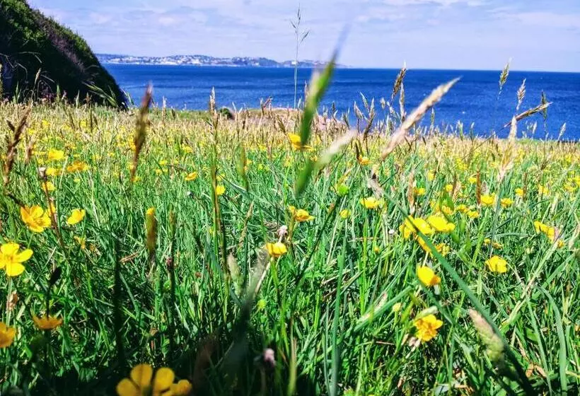 Fotos del hotel Abingdon House:  4