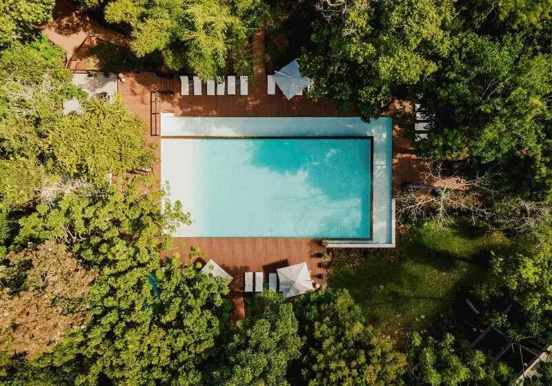 Fotos del hotel Mercure Iguazu Hotel Iru:  2